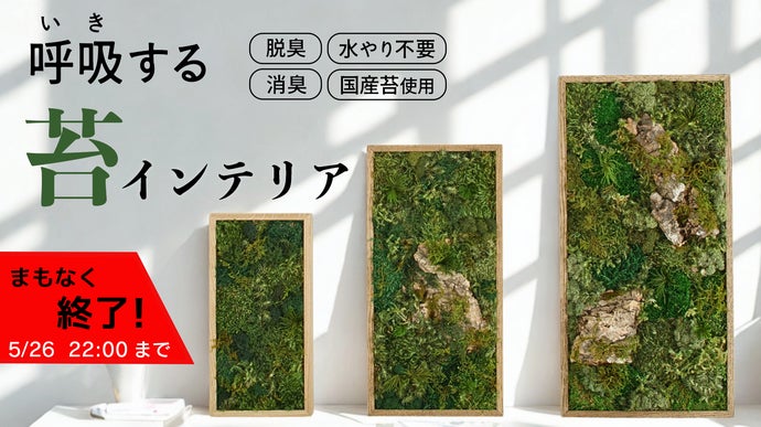 main_45566.png?version=