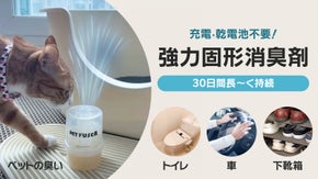 【電気不要】置くだけでお部屋を30日間しっかり消臭！強力な固形消臭剤