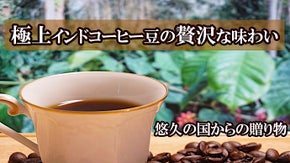 インド発！優秀賞多数受賞する農園から直送！自然と体に優しいコク豊かなコーヒー豆 