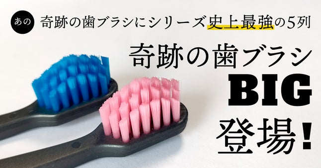 累計2,000万本突破！大ヒット「奇跡の歯ブラシ」が5列のBIGサイズで新登場！
