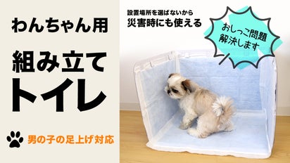 組立簡単 軽量で設置場所を選ばない おしっこの飛び散りを防ぐ犬用 