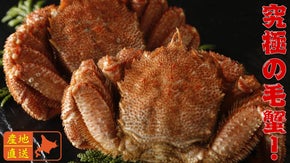 【北海道産毛蟹100％！】旬の毛蟹をカニ出汁で茹で上げ、剥き身で直送！
