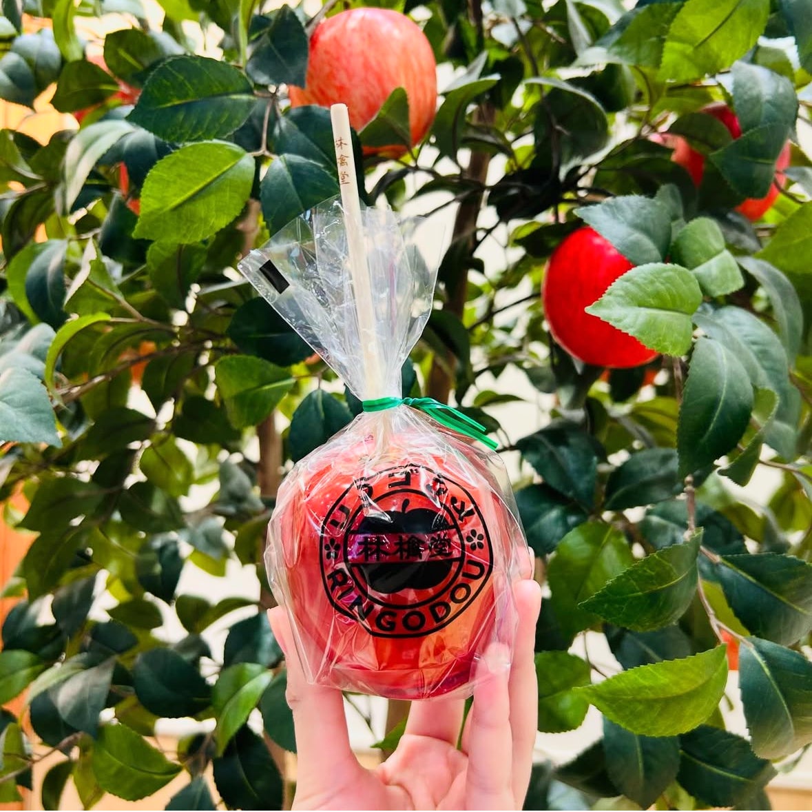 林檎堂広島OH!と驚く！！一口食べたら、おどろきと笑顔が広がる