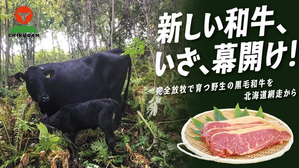 超希少。北海道網走で育つ、野生の黒毛和牛