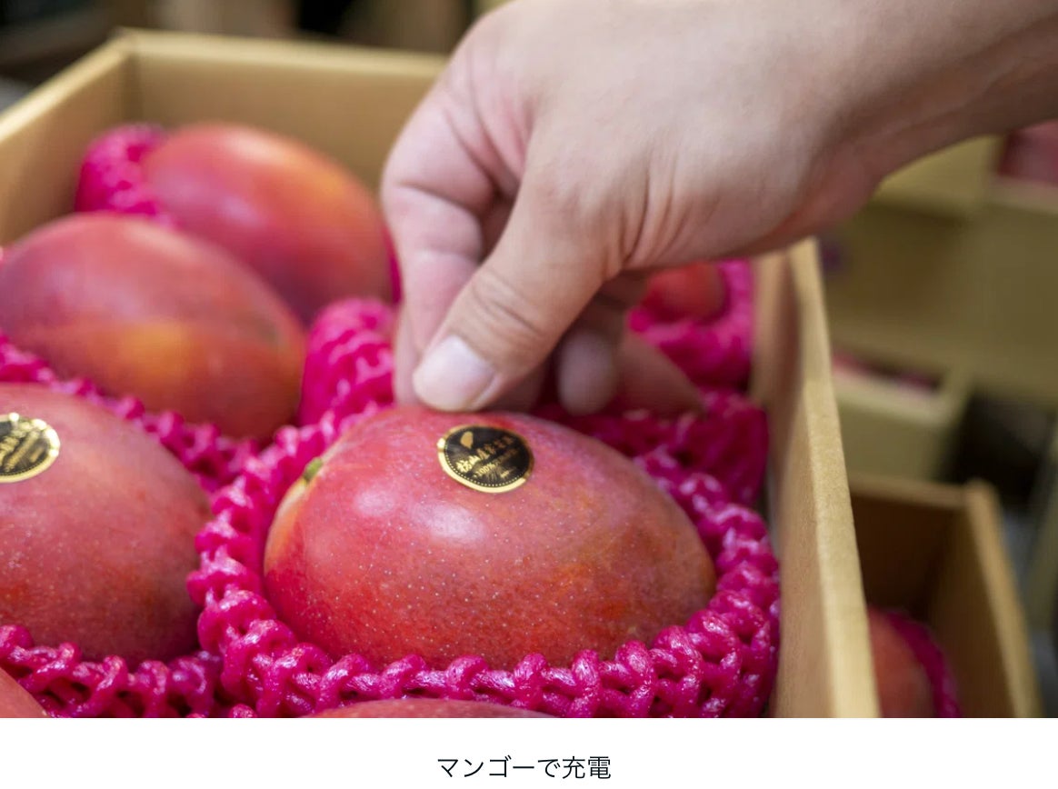 規格外の甘さとジューシーさ♪台湾の恵みを存分に受けた、もぎたての