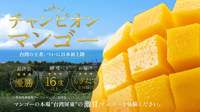 摘果マンゴー 9kg （10~50g） 規格外の甘さとジューシーさ♪台湾の恵みを存分に受けた、もぎたての