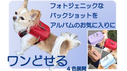 ワンどせる 人工皮革製 犬用ランドセル ワンどせる】学校カバンメーカーが国内で製造するワンちゃん用