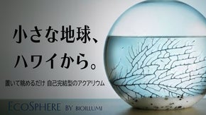 【水換え・餌やり不要】あなただけの小さな海。手軽に楽しむ、自己完結型アクアリウム