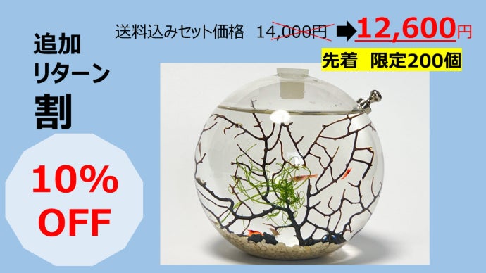 水換え・餌やり不要】あなただけの小さな海。手軽に楽しむ、自己完結型 