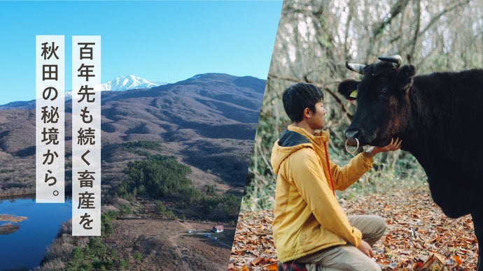 100年続く畜産を目指して。秋田の秘境・上の山放牧場を未来につなぐプロジェクト！