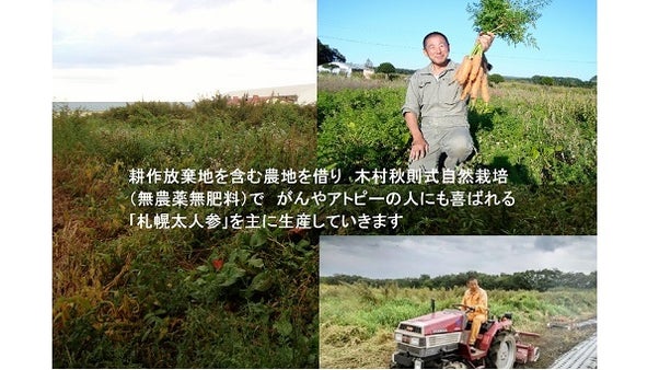 北海道から、自然栽培　固定種札幌太人参で未来を変える！　