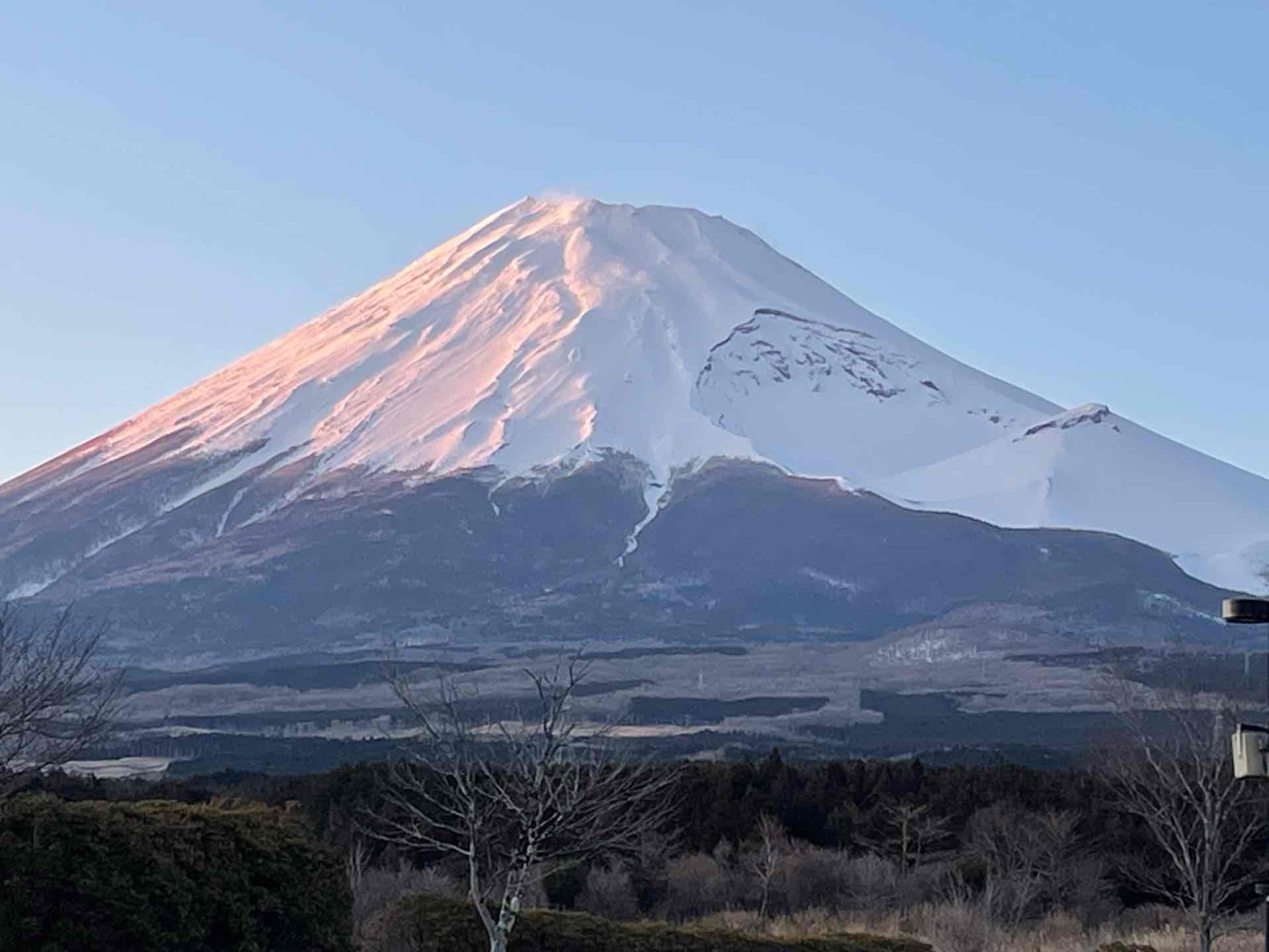 東京から90分！富士山デッキで絶品マグロを味わうリトリート体験