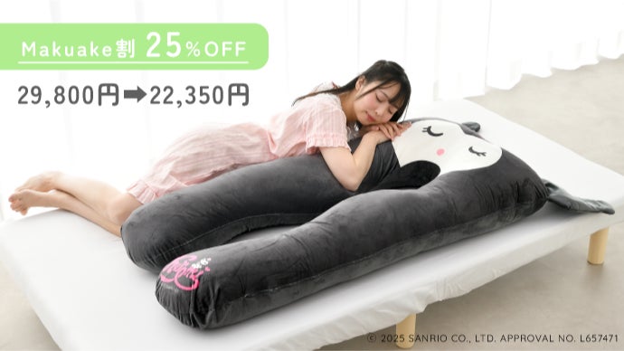 サンリオキャラクターズ ハグモッチ シナモロール