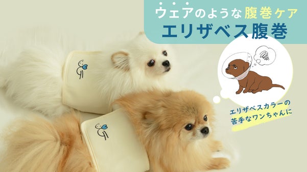 エリザベスカラーが不憫に思うなら、ペットウエアのような腹巻ケア、エリザベス腹巻