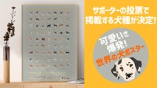 あなたの推し犬が掲載される!?犬好きとインテリアのための犬ポスター2025年版