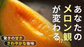 1玉ずつ収穫するから“しっかり“甘い。果肉が選べる【糖度15度以上】飯岡メロン