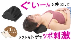 かわいいハリネズミが癒す 首伸ばし＆ツボ押し刺激ができるストレッチ首枕