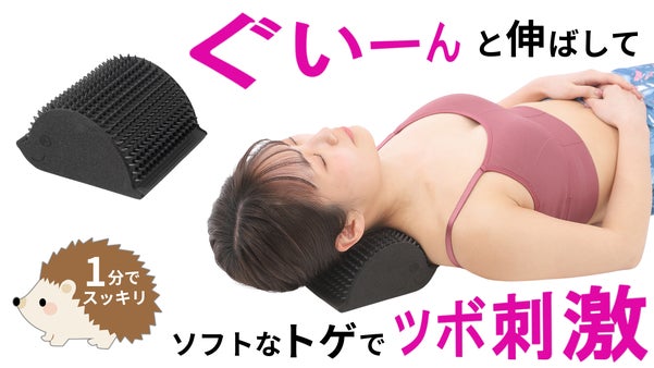 かわいいハリネズミが癒す 首伸ばし＆ツボ押し刺激ができるストレッチ首枕