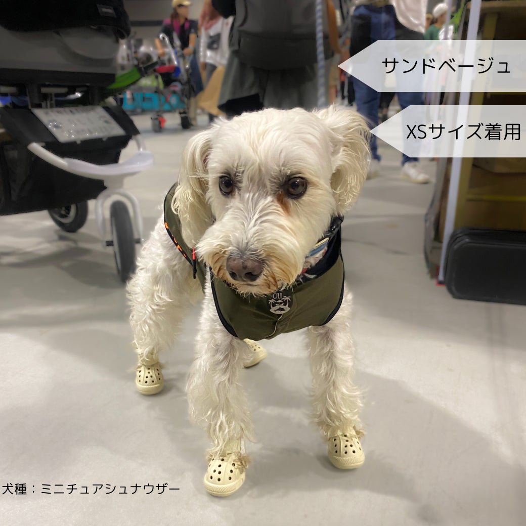 犬用アウトドアシューズWANDAL登場！愛犬の靴はこれで決まり