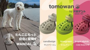 犬用アウトドアシューズWANDAL登場！愛犬の靴はこれで決まり