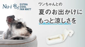 【獣医さんおすすめ】ワンちゃんの快適さと命を守るペット向けファンマット