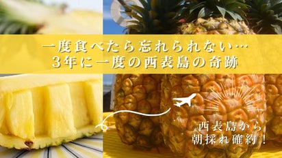 一度食べたら忘れられない】3年に一度の収穫！希少な西表