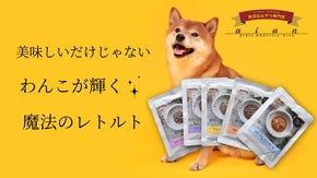 【獣医師×ペット栄養管理士共同開発】わんこが輝く魔法のごはん