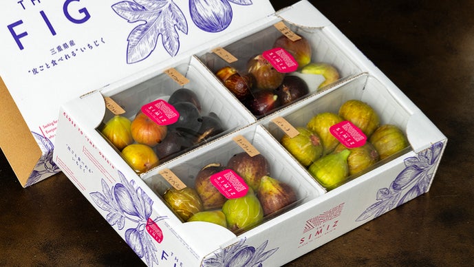 全20種から厳選配送】「皮ごと食べれるいちじく」に拘り抜いた農家が