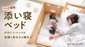 人にも、ペットにも幸せな睡眠時間をもたらす「ペット専用の添い寝ベッド」