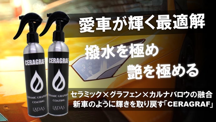 手間いらずなのに愛車をプロ級コーティング！艶・撥水・保護はこれ一本