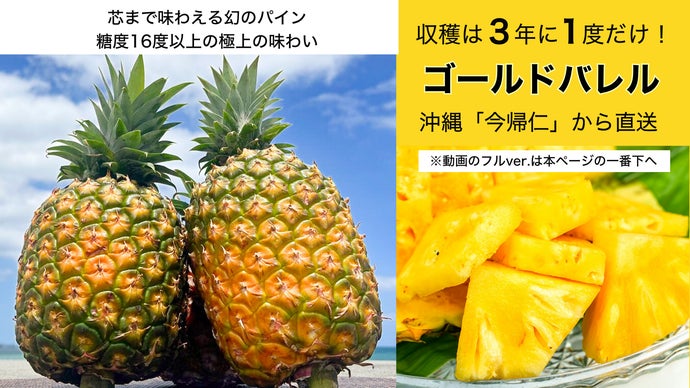 第２段！沖縄産【幻のパイン】国内流通1%「ゴールドバレル」食べ比べセットも登場！