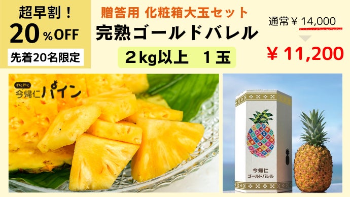 第2段！沖縄産【幻のパイン】国内流通1%「ゴールドバレル」食べ比べ