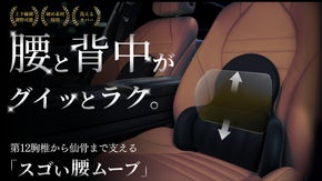 腰をグイッと支える"押し出す型"の整体級クッションで第12胸椎から仙骨まで刺激◎