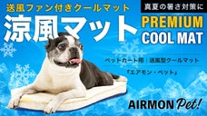 真夏の散歩に&ldquo;風の出るクールマット&rdquo;という選択｜ペットカート用【エアモンpet】