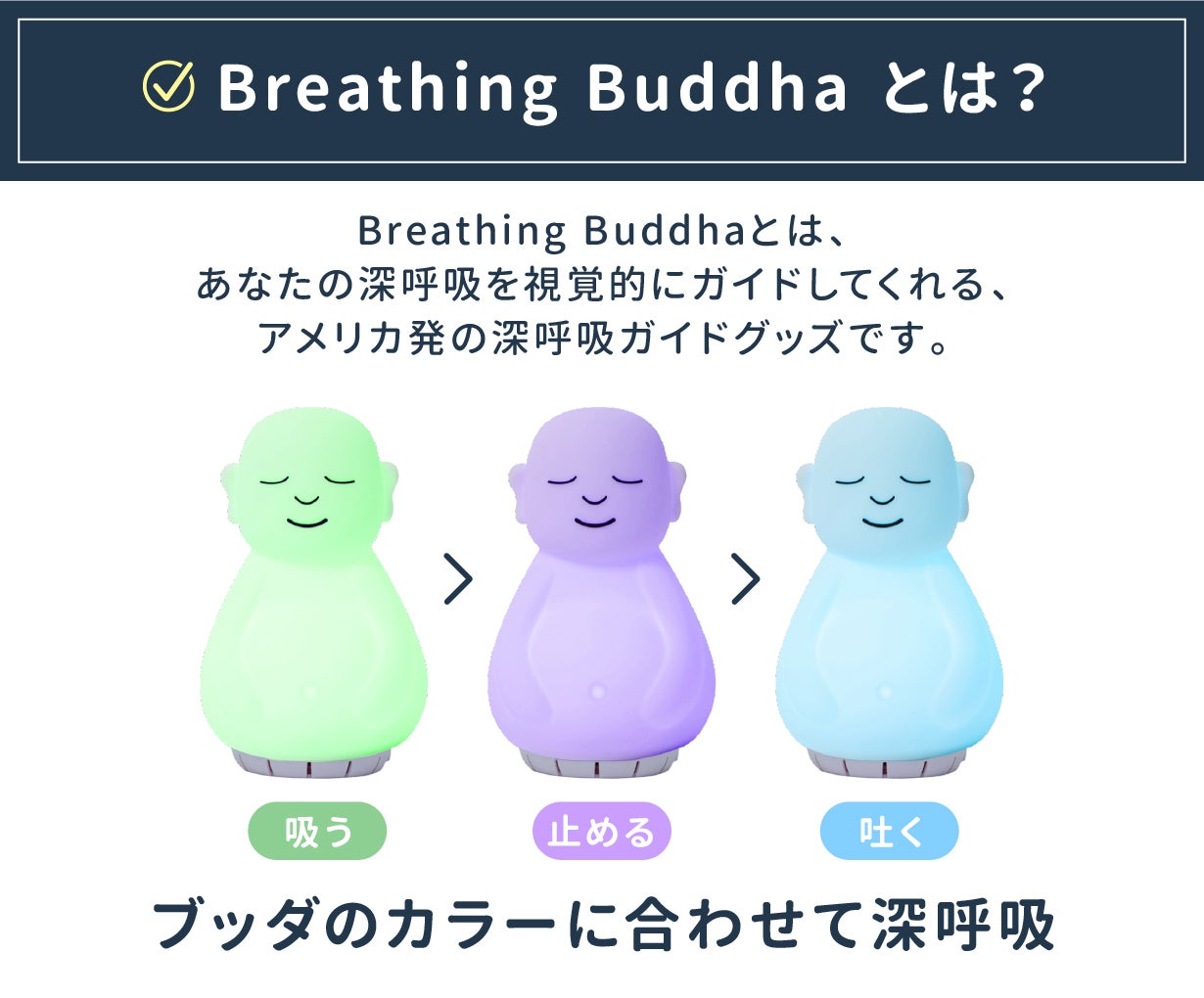 ブッダとなる瞬間 Amazon.co.jp: マインドサイト「ブリージングブッダ」マインド
