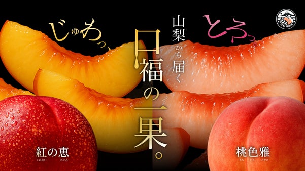 【糖度保証】 山梨 から産地直送　木の先端で育った秘伝の 桃 と幻の ネクタリン