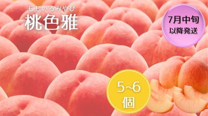 糖度保証】 山梨 から産地直送 木の先端で育った秘伝の 桃 と幻