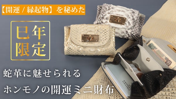 【蛇革で魅せる金運財布】身軽にキメるミニ財布の決定版/オールインミニウォレット
