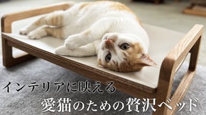 猫と暮らす職人の想い - ハンドクラフト 無垢の木製ネコベッド