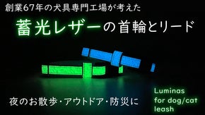 電池不要！蓄光レザーの犬猫用首輪「Luminas for dog/cat」