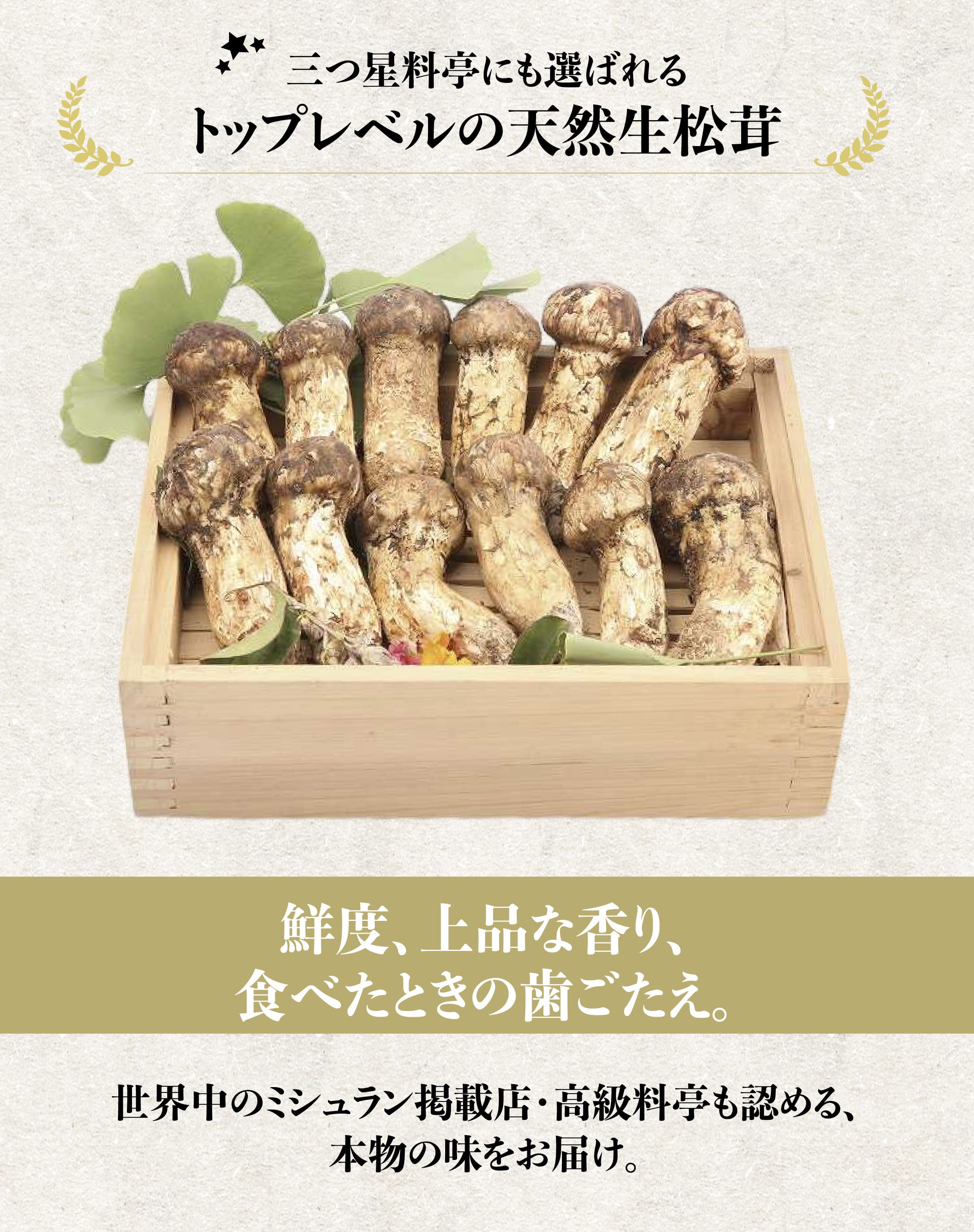 新鮮 マツタケ 22p7.jpg?fitin=272:272