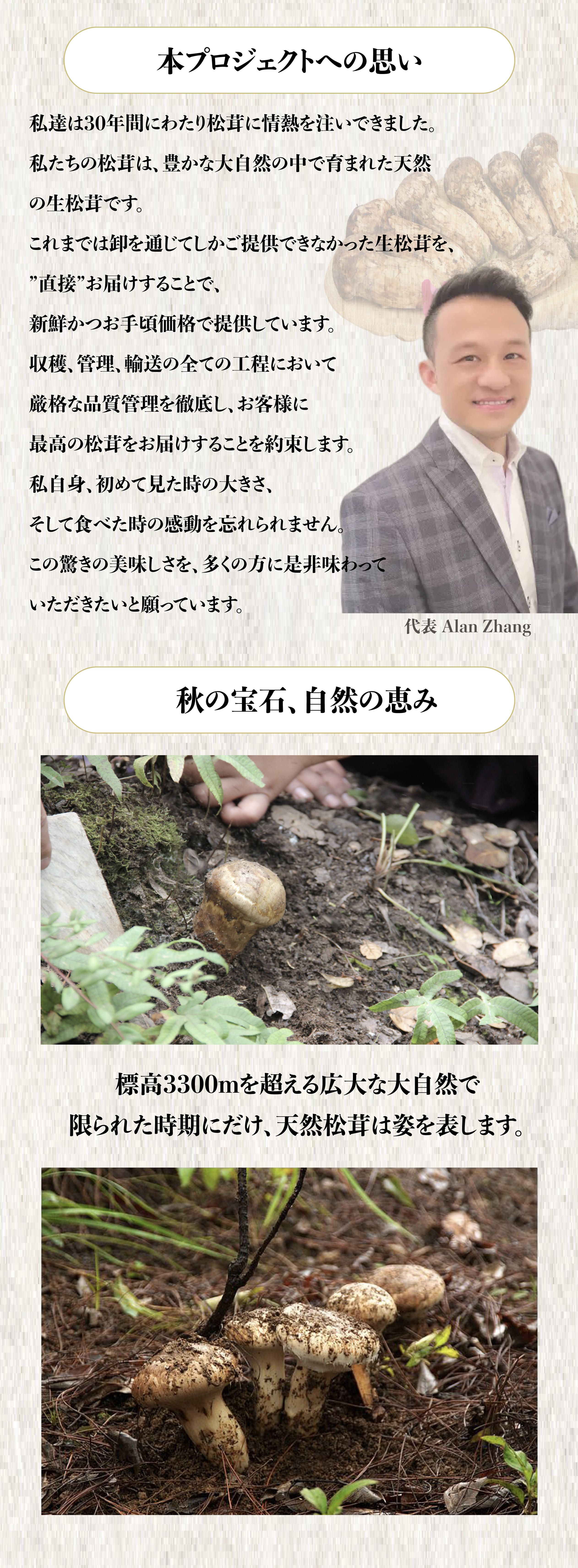 松茸　T.O様用 ブロッコリーは18年位前に買ったやつです❗