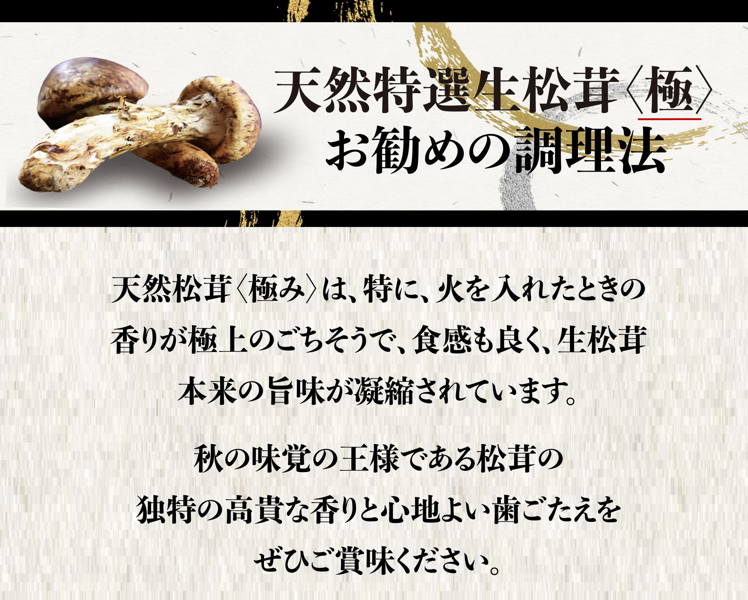 世界最大級の松茸産地直送！元プロが届ける「生松茸〈極〉」第二