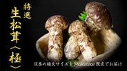 世界最大級の松茸産地直送！元プロが届ける「生松茸〈極〉」第二