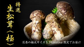 世界最大級の松茸産地直送！元プロが届ける「生松茸〈極〉」第二弾