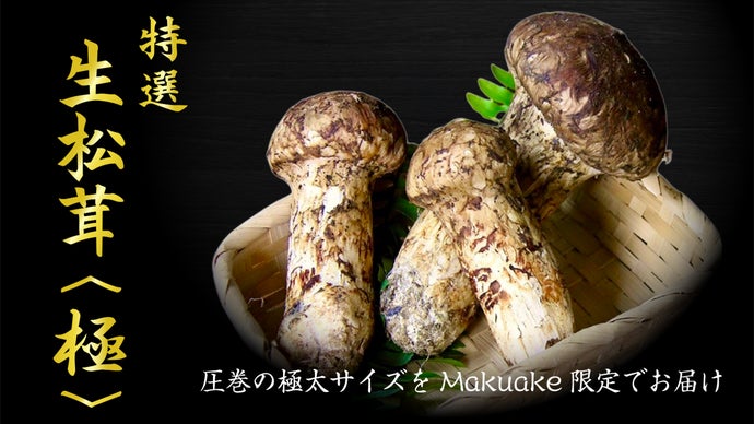 世界最大級の松茸産地直送！元プロが届ける「生松茸〈極〉」第二