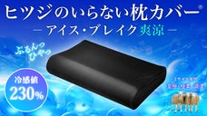 【2秒で寝落ち？！】ひやっぷるん！汗ばむ夏もサラッとスッキリ！極上枕カバー誕生！
