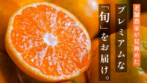 この時期・この木・この場所で。老舗農家が見極めた「プレミアム」柑橘をお届け。