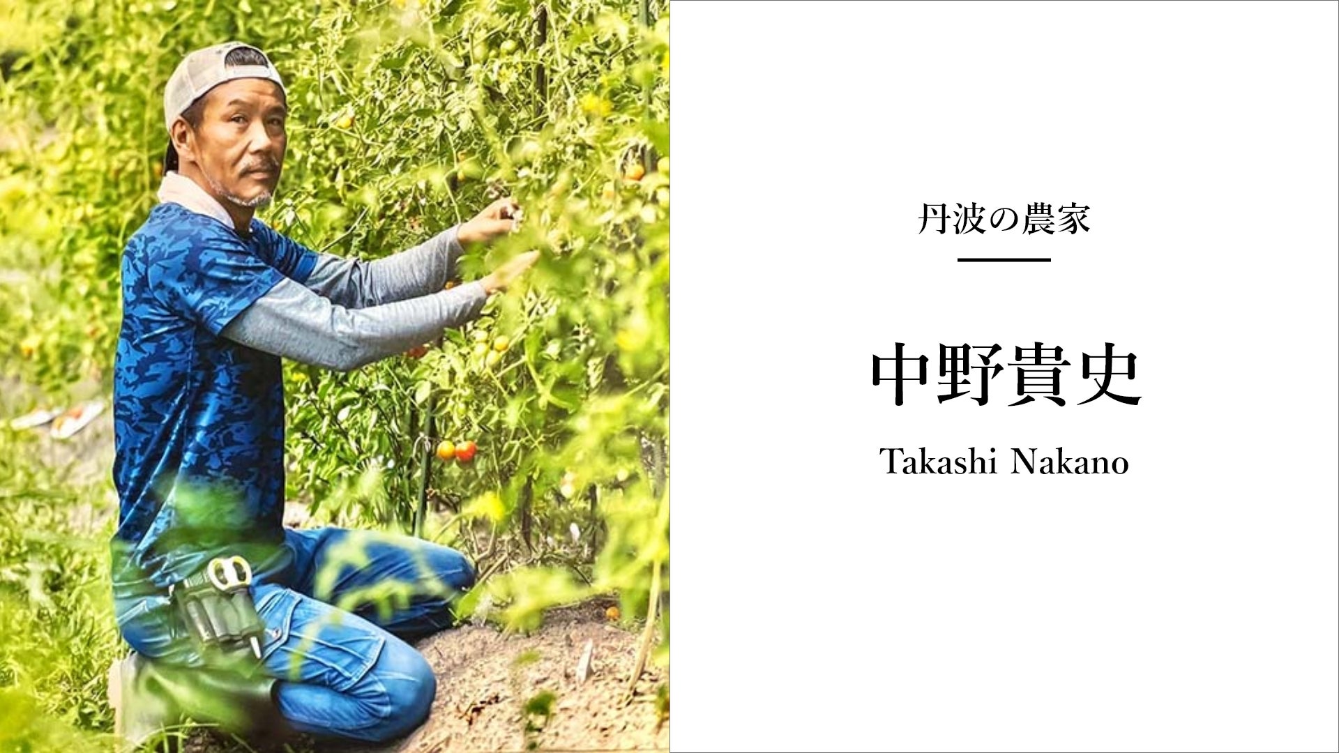 第七代B.Aシリーズのトライアルセット基礎4点セット1ヘッドスパジェラート2 丹波の農家が作った健康野菜の自然派高級ジェラート“ベジタンバ