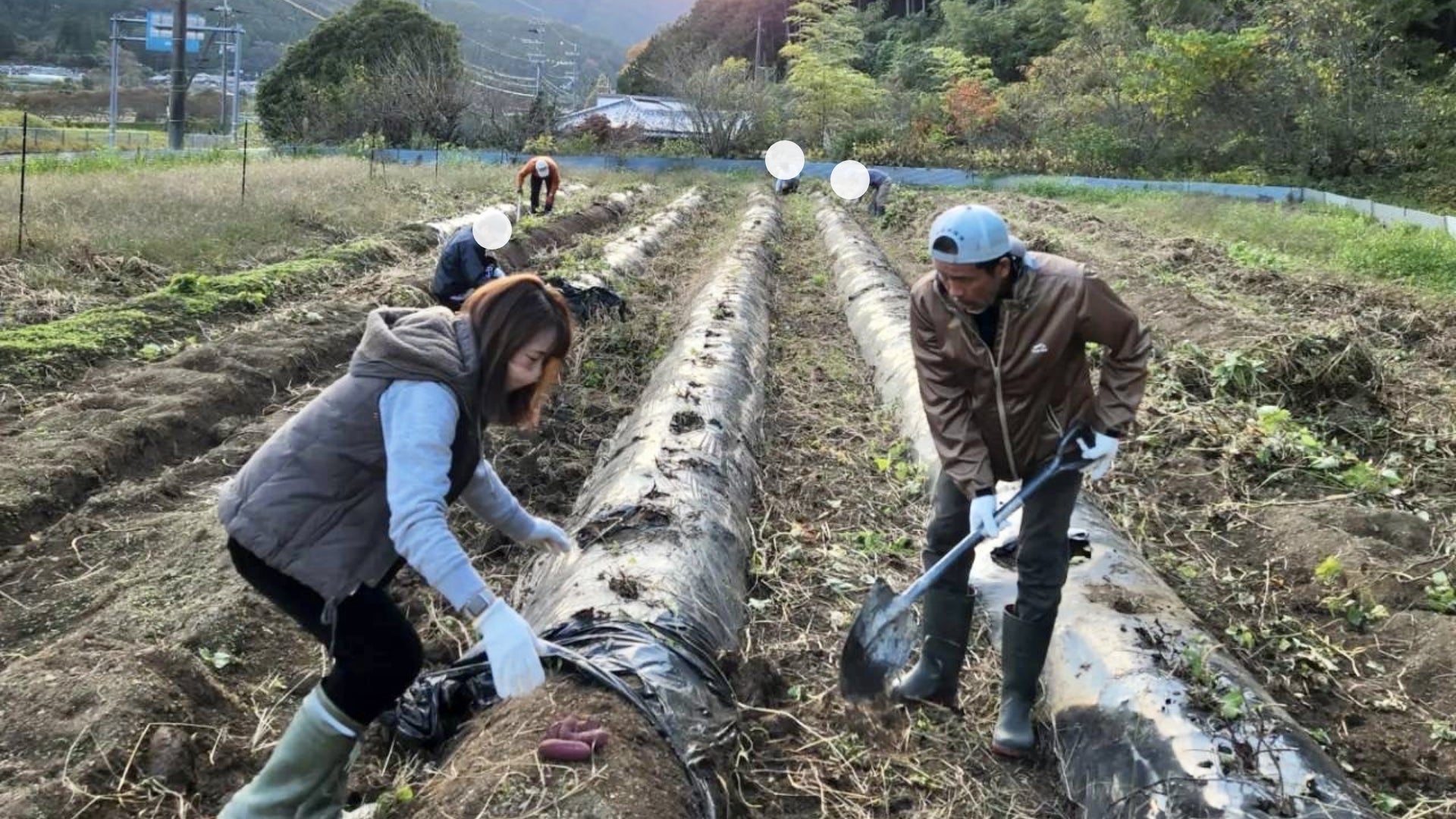 丹波の農家が作った健康野菜の自然派高級ジェラート“ベジタンバ